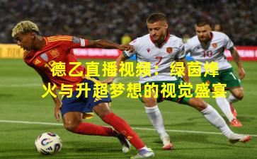 德乙直播视频:绿茵烽火与升超梦想的视觉盛宴