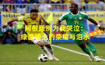 阿根廷别为我哭泣:绿茵场上的荣耀与泪水