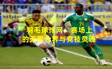 羽毛球球网：赛场上的无形分界与竞技灵魂