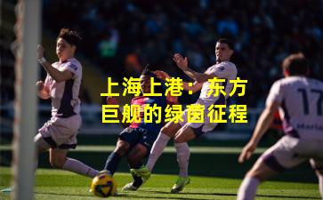 上海上港:东方巨舰的绿茵征程