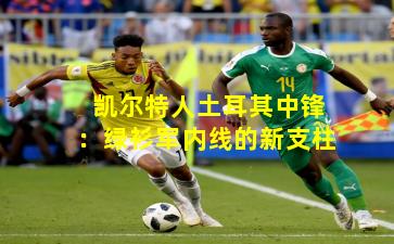 凯尔特人土耳其中锋：绿衫军内线的新支柱